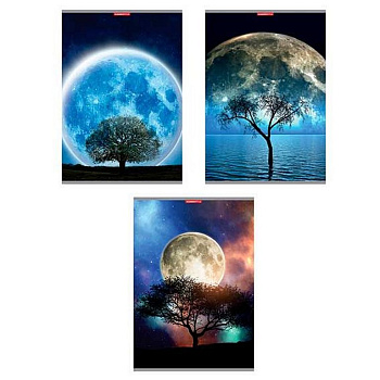 Тетрадь 80 лист кл. А4 на скрепке "Фантастическая луна"