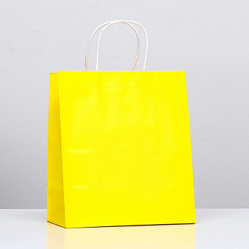 Пакет бумажный 22*25см крафт "Радуга" жёлтый