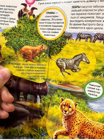 Энциклопедия 3+ "Животные" Malamalama
