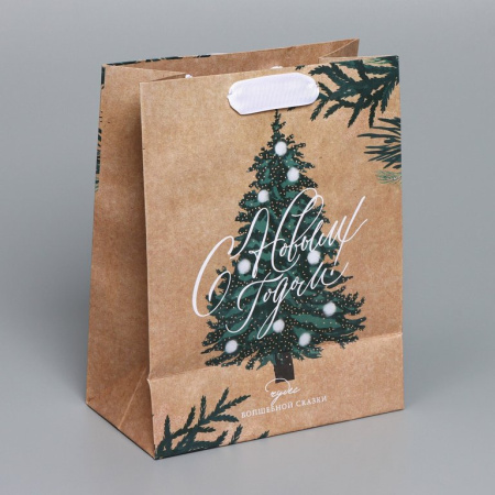 Пакет бумажный НГ 18*23см крафт "Winter"