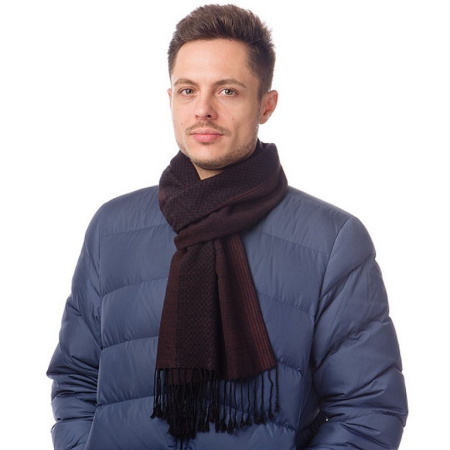 Шарф мужской Dr.Koffer 30x200 см, 50% шелк, 50% вискоза