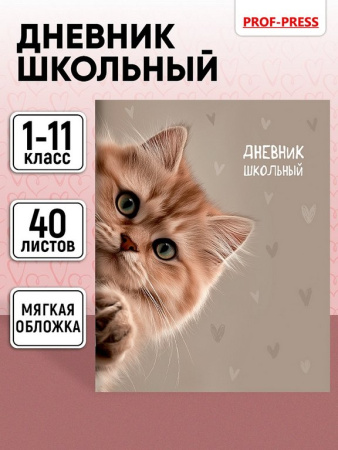Дневник школьный мягкая обложка, на скобе "Забавный котик" 40л.