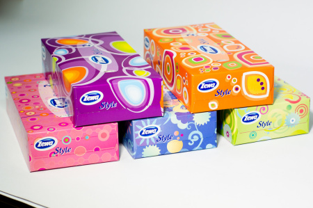 Салфетки косметические 100 шт/уп 2-слойные, Zewa/Zemma