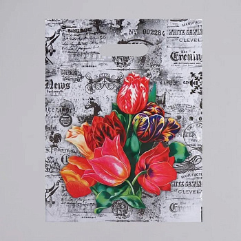 Пакет пробивной 30*40см (30мкм) "Бристоль"