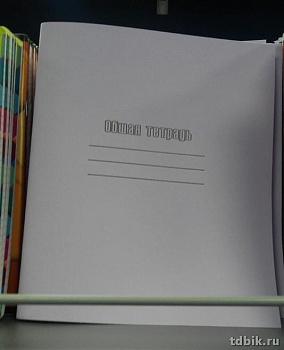 Тетрадь 48 лист кл. А5 на скрепке, бумага офсет с полями (Пресса)