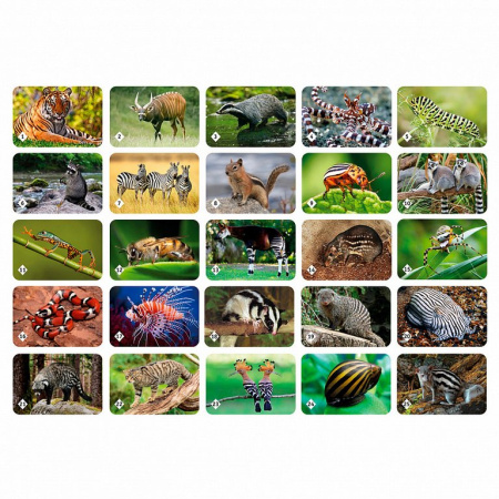 Игра настольная  Мемо "Полосатые животные" (5+) Нескучные игры