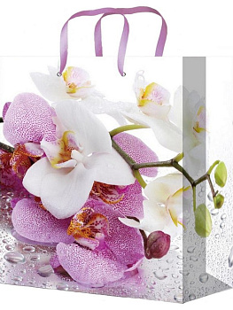 Пакет бумажный 18*23см ламинированный "Прекрасные орхидеи"