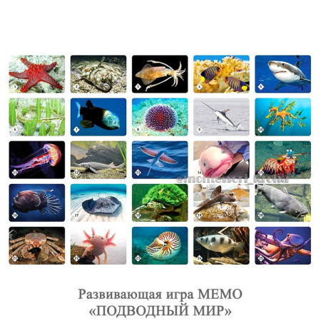 Игра настольная  Мемо "Подводный мир" Нескучные игры