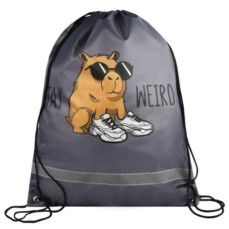 Сумка для обуви для мальчика 48*36 см Феникс+ "Чудная капибара"