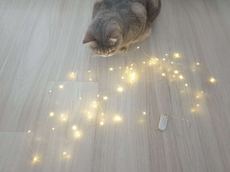 Гирлянда комнатная Нить  "Роса"  5м, 50 теплых ламп, на батарейках (от 0 до +35 °С)