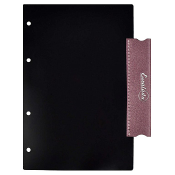 Разделитель сменный для кредитных, дисконтных карт, пропусков, кожзам, пластик черный