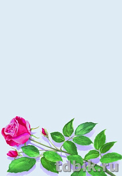 Бумага для дизайнерских работ DECAdry с нанесенным дизайном А4 80г/м 25 л/уп, Роза