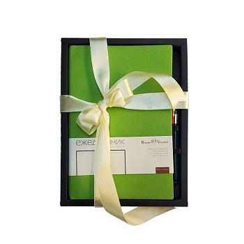 Набор подарочный BrunoVisconti "MERCURY" (САЛАТОВЫЙ ЕЖЕДНЕВНИК А5 + РУЧКА)