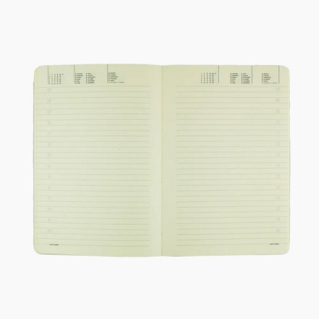 Набор подарочный BrunoVisconti "MEGAPOLIS FLEX" (ЗОЛОТОЙ ЕЖЕДНЕВНИК А5 + РУЧКА)