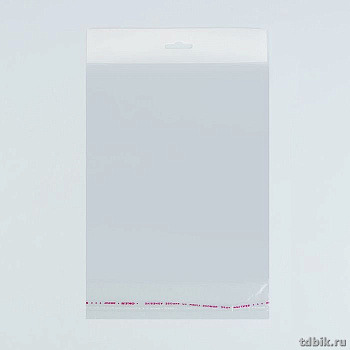 Пакет с клеевым клапаном 22*25 см, 30 мкм