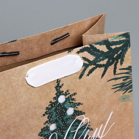 Пакет бумажный НГ 18*23см крафт "Winter"