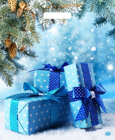 Пакет пробивной НГ 38*45 см (60 мкм) "Подарки зимы"