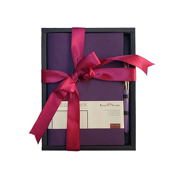 Набор подарочный BrunoVisconti "MERCURY" (ФИОЛЕТОВЫЙ ЕЖЕДНЕВНИК А5 + РУЧКА)