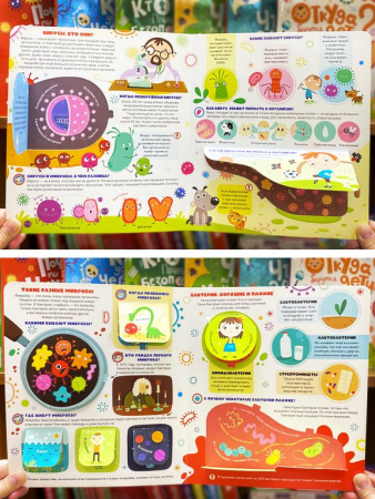 Книга картонная с окошками "Вирусы и бактерии. Что мы знаем о них?" 12 стр. Malamalama