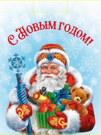 Пакет бумажный НГ 26*32см ламиниров. "Дед Мороз с подарками"