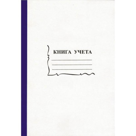Книга учета бухгалтерская A4, 96 л.