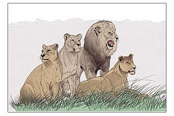 Альбом для рисования А4 20л. на скрепке "ГРИН Animal Planet"