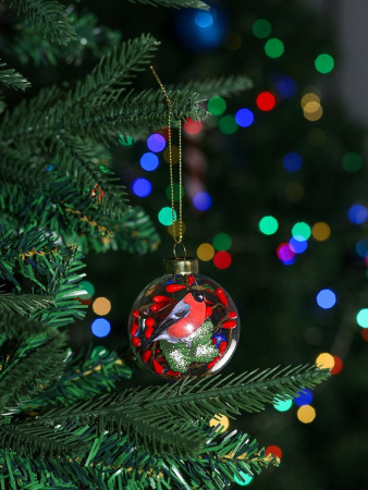 Елочный шар стеклянный  60мм "Морозный снегирь"