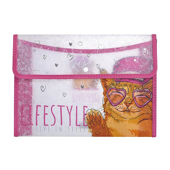 Папка для тетрадей А4 на кнопке BrunoVisconti "Easy life. Mainecoon" с текстильной окантовкой