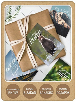 Открытка-малышка  "Поздравления мужчинам" ассорти