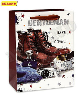 Пакет бумажный 18*23см ламинированный "Мужской стиль"