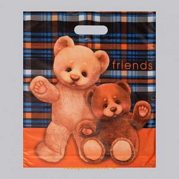 Пакет пробивной 40*47см (45 мкм) "Друзья" ПВД