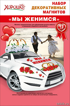 Магнит на авто Набор "Мы женимся"