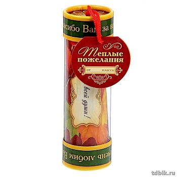 Капсула времени "Лучшему классному руководителю"