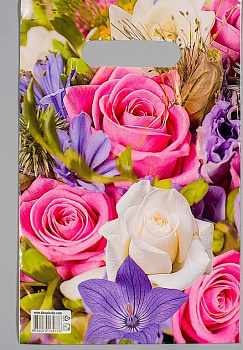 Пакет пробивной 20*30см "Лирика"