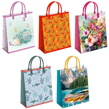 Пакет пластиковый 22,5х27х9 см (ассорти)